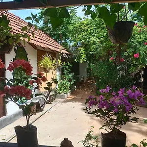 Mamisa Cafe, Maison d'hôtes